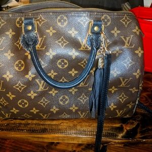 Louis Vuitton Speedy 30
